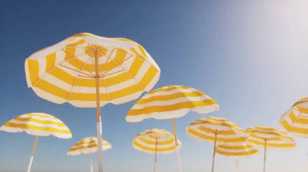 Your Guide to Summer in Orange Hunt