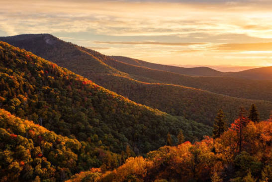 Fall Hiking in Northern Virginia